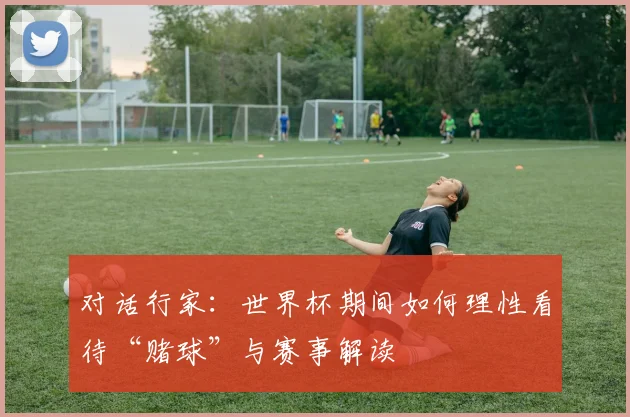 对话行家：世界杯期间如何理性看待“赌球”与赛事解读