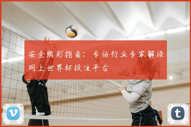 安全购彩指南：专访行业专家解读网上世界杯投注平台