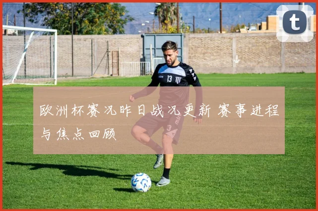 欧洲杯赛况昨日战况更新 赛事进程与焦点回顾
