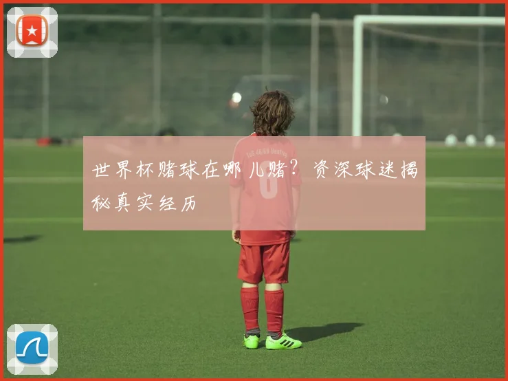 世界杯赌球在哪儿赌?资深球迷揭秘真实经历