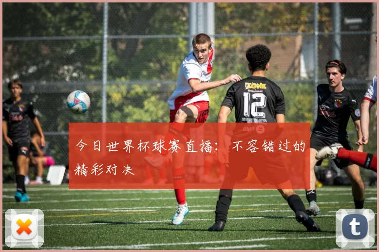 今日世界杯球赛直播：不容错过的精彩对决