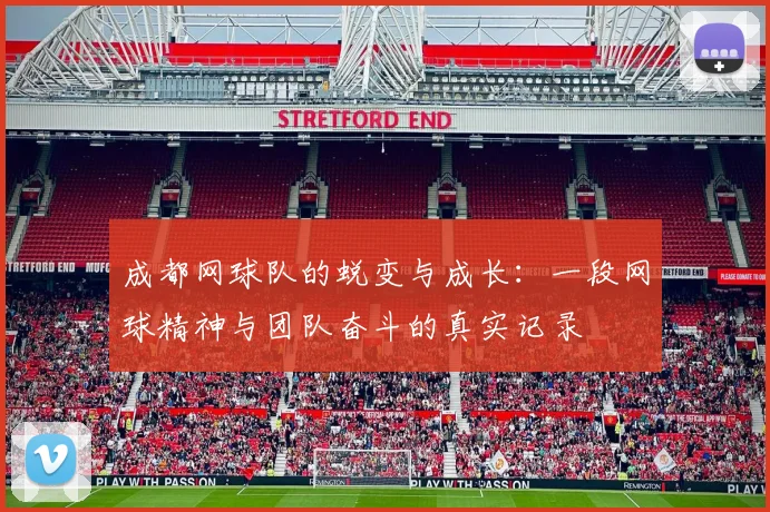 成都网球队的蜕变与成长：一段网球精神与团队奋斗的真实记录