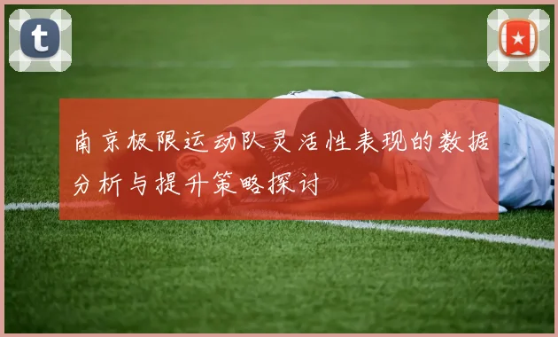 南京极限运动队灵活性表现的数据分析与提升策略探讨