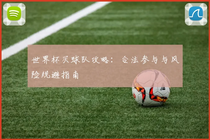 世界杯买球队攻略：合法参与与风险规避指南