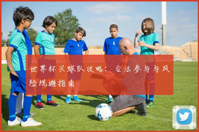 世界杯买球队攻略：合法参与与风险规避指南